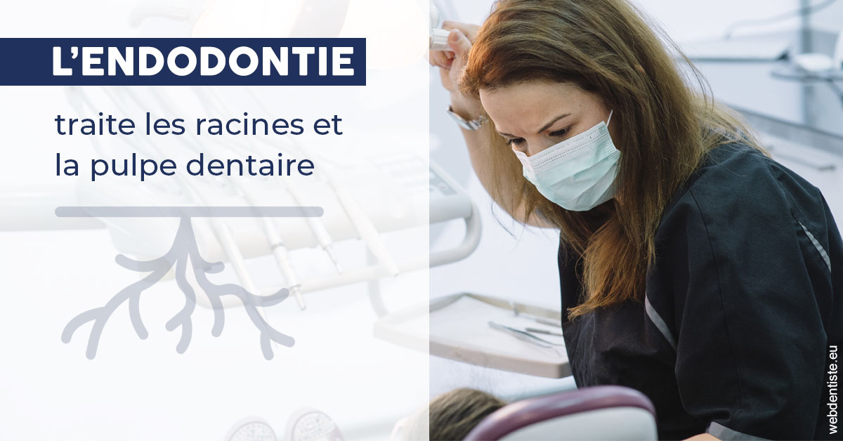 https://dr-touitou-yvan.chirurgiens-dentistes.fr/L'endodontie 1