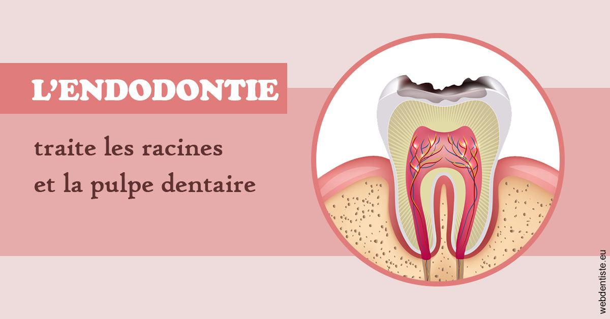 https://dr-touitou-yvan.chirurgiens-dentistes.fr/L'endodontie 2