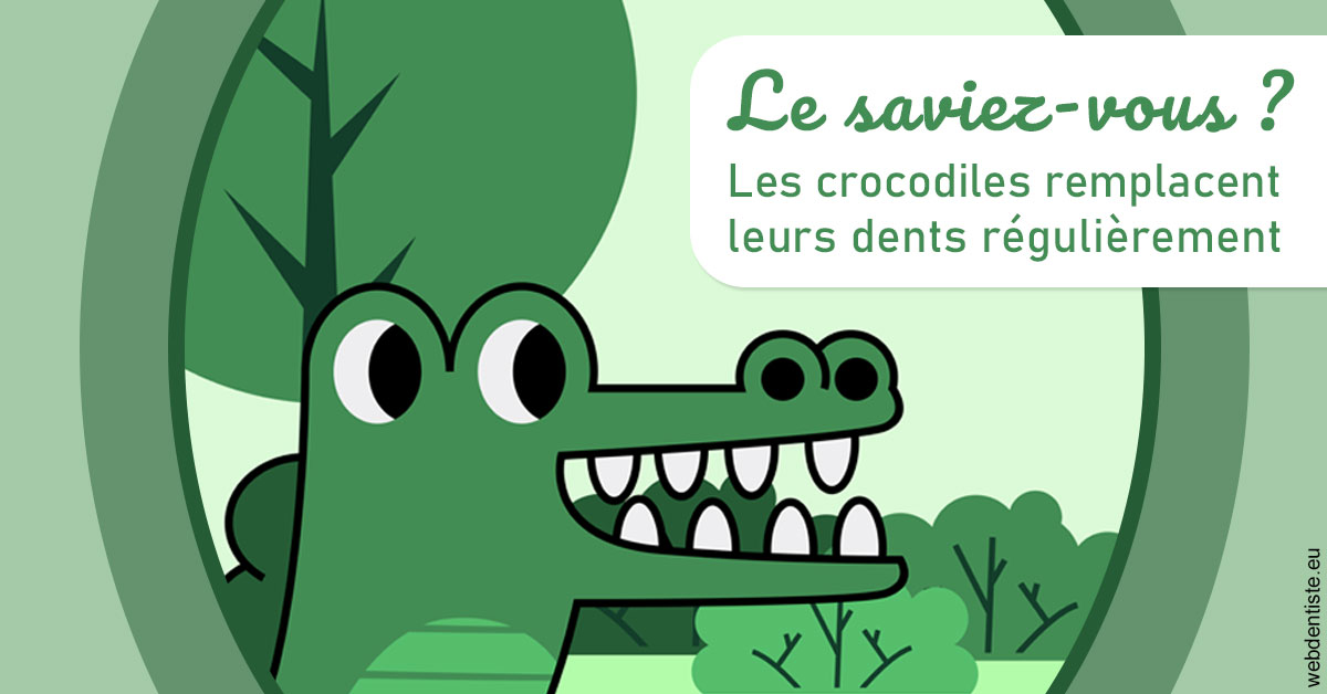 https://dr-touitou-yvan.chirurgiens-dentistes.fr/Crocodiles 2
